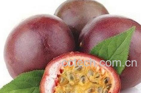 百香果籽的功效与作用及禁忌症-0