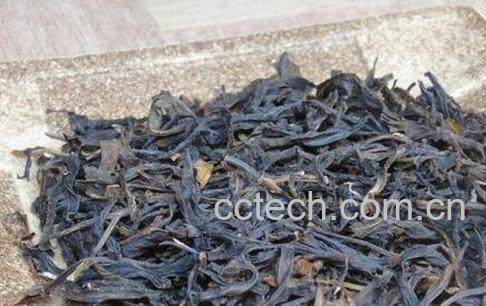 黄枝香茶叶的好处与坏处-0