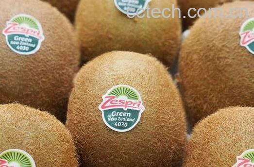 怎样催熟奇异果 -0