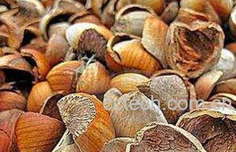 榛子壳的功效与作用及禁忌-0