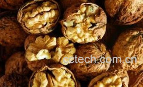 核桃壳的作用及食用方法-0