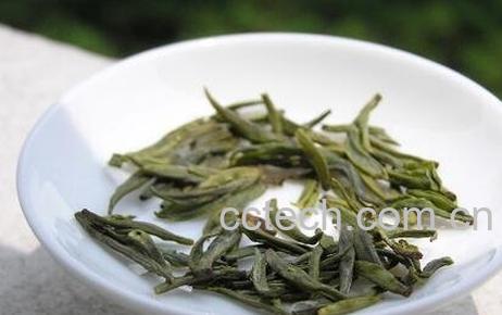 莫干黄芽是什么茶 莫干黄芽茶泡法-0