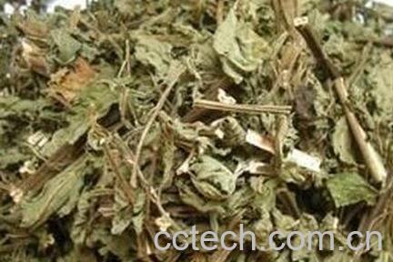 溪黄茶什么人不能喝 溪黄茶的副作用-0