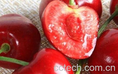 樱桃核的药用价值 -0