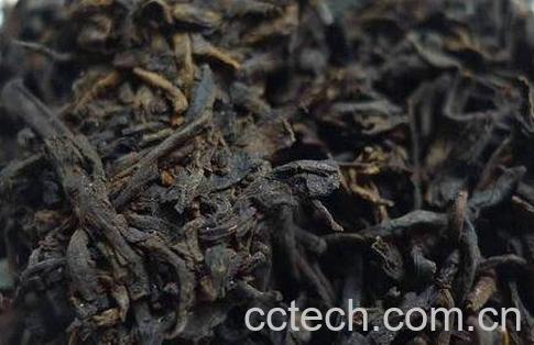 六堡茶的功效与作用-0