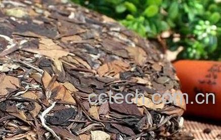 老白茶和新白茶的区别-0