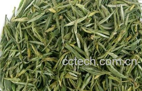 君山黄茶五大功效-0