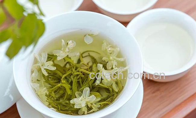 茉莉花茶-1