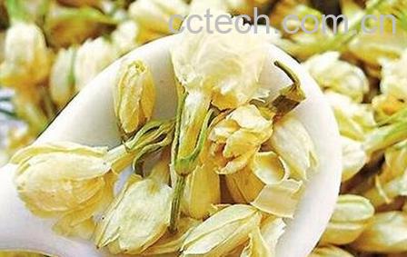 茉莉花茶的产地有哪些-0