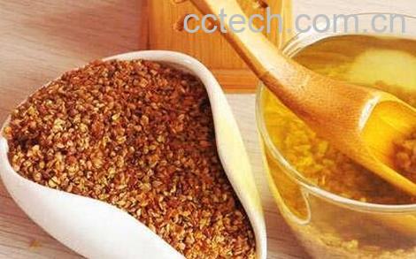 苦荞茶的功效与作用 苦荞茶的食用方法-0