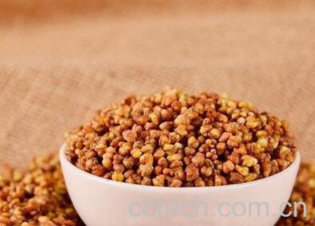 苦荞茶的功效与作用 苦荞茶的食用方法-1