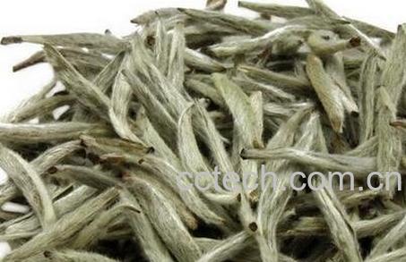 白茶的功效与作用 白茶的药用价值-0