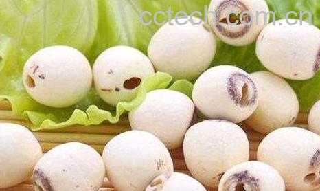 莲子壳的作用与功效-0