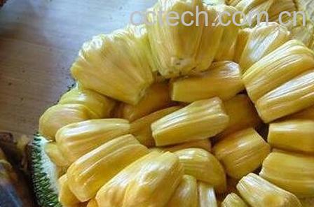 吃菠萝蜜要注意什么-0