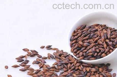 大麦茶的功效与作用 大麦茶的药用价值-1