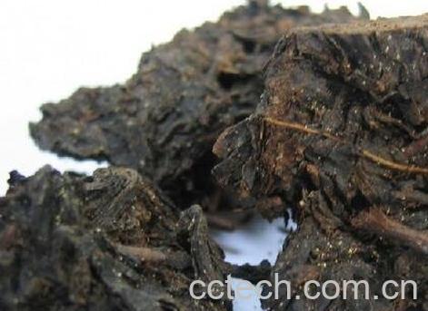 黑茶的功效与作用 黑茶的药用价值-1