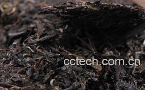 普洱茶的功效与作用 普洱茶的药用价值-1