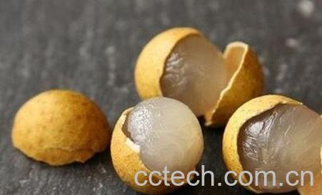 龙眼壳的功效与作用-0