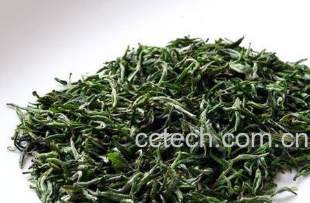 长喝绿茶的功效与作用-1