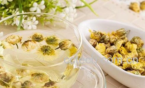 菊花茶的功效与作用 菊花茶的药用价值-0