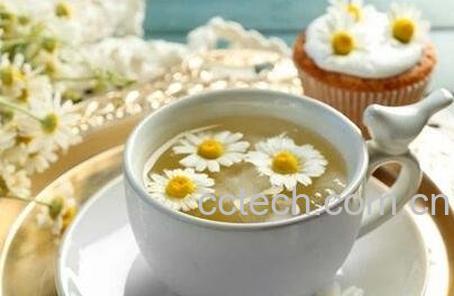 菊花茶的功效与作用 菊花茶的药用价值-1