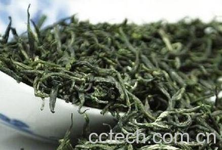 清明绿茶的功效与作用-1