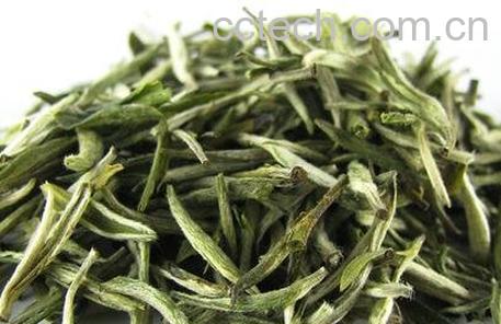 清明绿茶的功效与作用-0