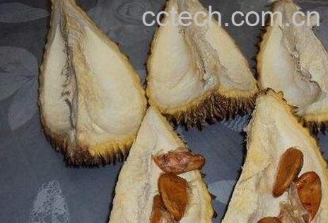 榴莲壳的功效与作用及吃法-0