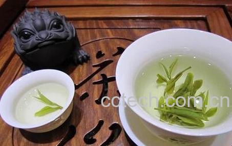 霍山黄芽与黄大茶有什么区别-0