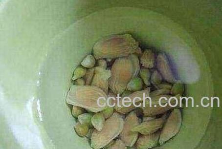 柚子核的功效与作用及禁忌-0