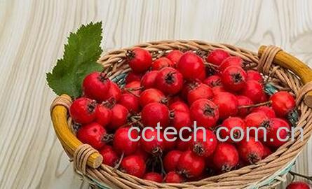 山楂壳的功效与作用及禁忌-0