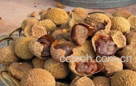 蒸荔枝干的功效与作用-0