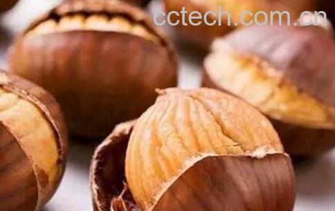 栗子壳的功效与作用-0