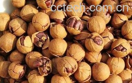 野黑桃壳的功效与作用-0