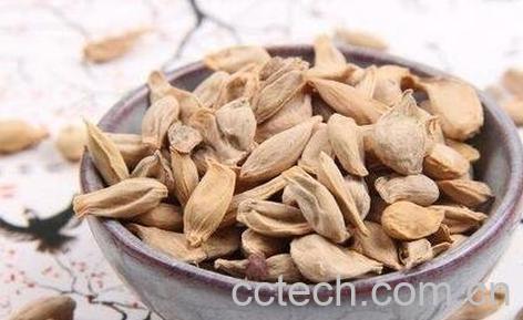 中药橘核的功效与作用及禁忌-0