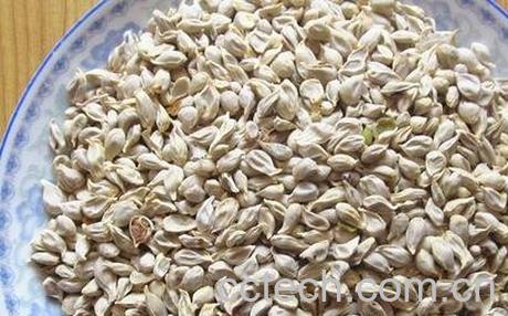 白酒泡橘子籽的作用-0