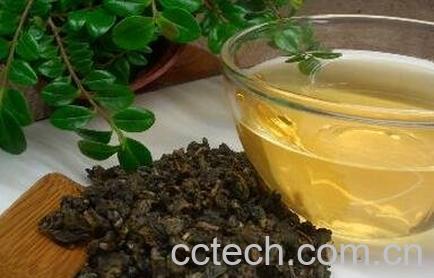 高山茶与乌龙茶的区别-0