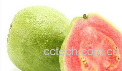 台湾红心芭乐怎么吃-0