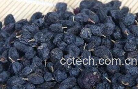 紫色葡萄干的功效与作用-0