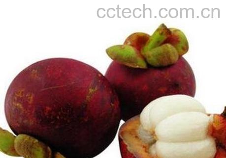 山竹壳的营养价值-0