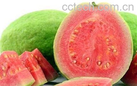 红心芭乐怎么吃步骤 -0