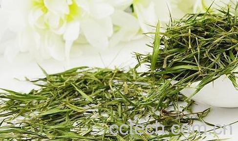 竹叶青泡水喝的功效-0