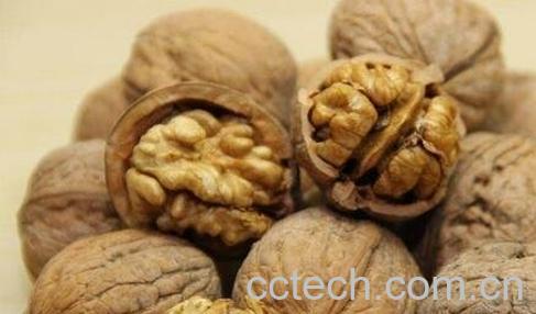 野核桃壳的功效与作用-0