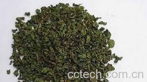 桑叶茶的功效和作用-0