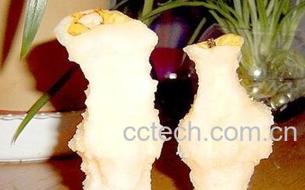 梨核的功效与作用-0