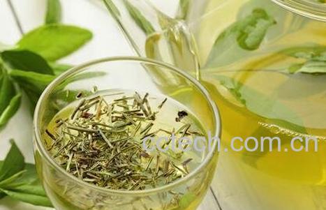 哪些茶含有茶多酚-0