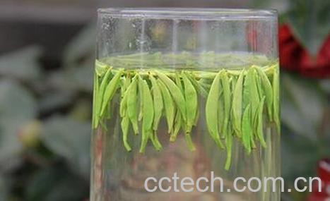 金坛雀舌好的鉴别方法-0