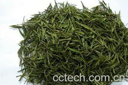 安吉白片和安吉白茶有什么区别-0
