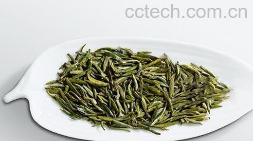 竹叶青茶对人体有哪些好处-0