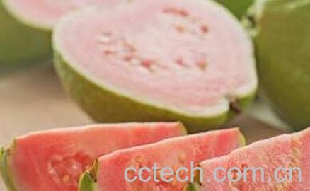 红心珍珠芭乐怎么吃-0